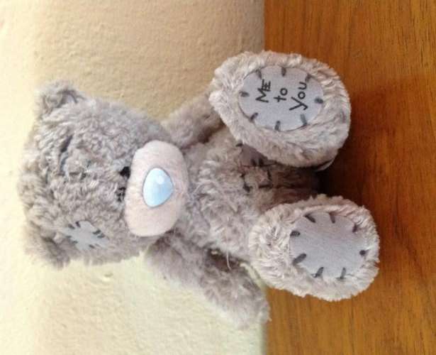 Tatty Teddy