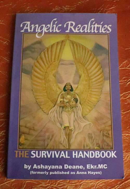 Angelic Realities - The Survival Handbook
