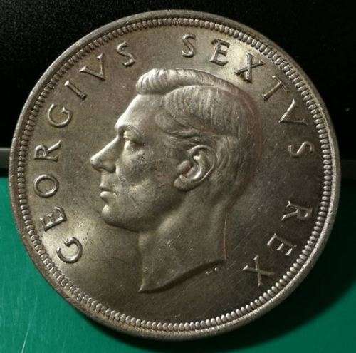 *** *** 1951 - SA UNION SILVER 5 SHILLING - GREAT DETAILS *** ***