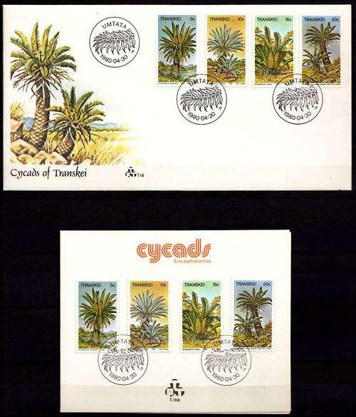 1980 TRANSKEI CYCADS FDC + COLLECTORS CARD