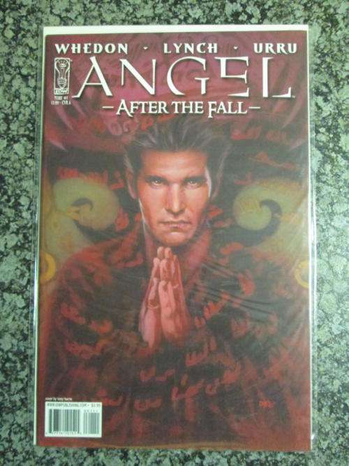 Angel After The Fall #1 (NM - 2007) Back Issue