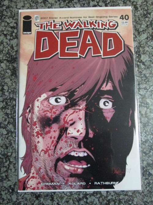 Walking Dead #40 (NM - 2007) Back Issue