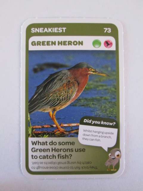 #73 GREEN HERON (Sneakiest) - Pick n Pay Super Animals Trading Card