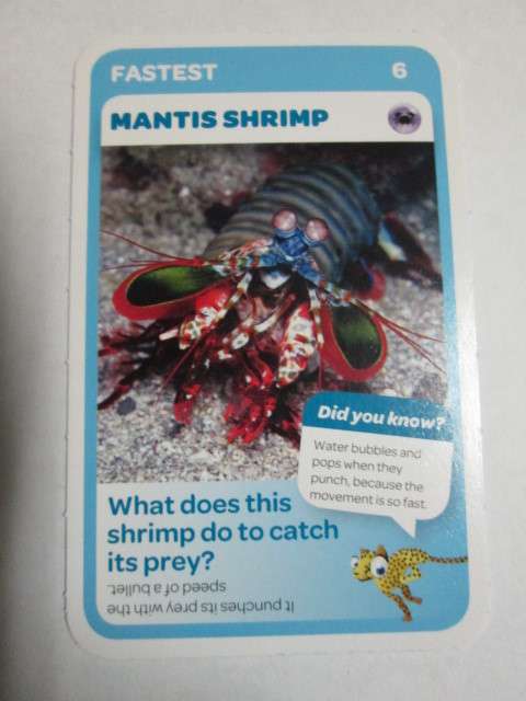 #6 Mantis Shrimp (Fastest) - Pick n Pay Super Animals Trading Card