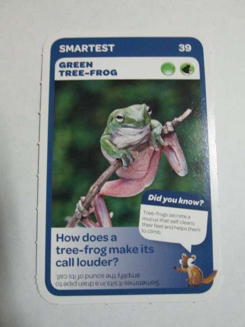 #39 Green Tree-Frog (Smartest) - Pick n Pay Super Animals Trading Card