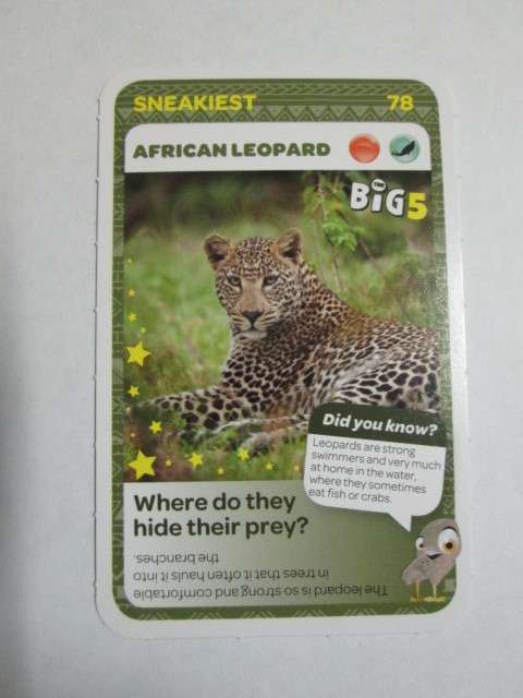 #78 African Leopard (Sneakiest) BIG FIVE - Pick n Pay Super Animals Trading Card (Rare)