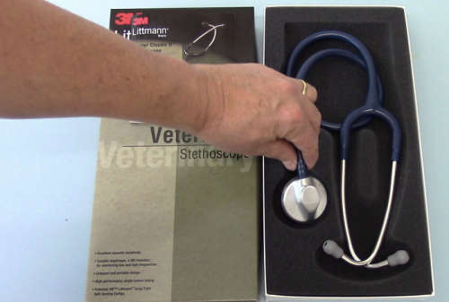 Littmann Veterinary Master Classic II: Stainless Steel-Navy Blue (FREE SHIPPING)
