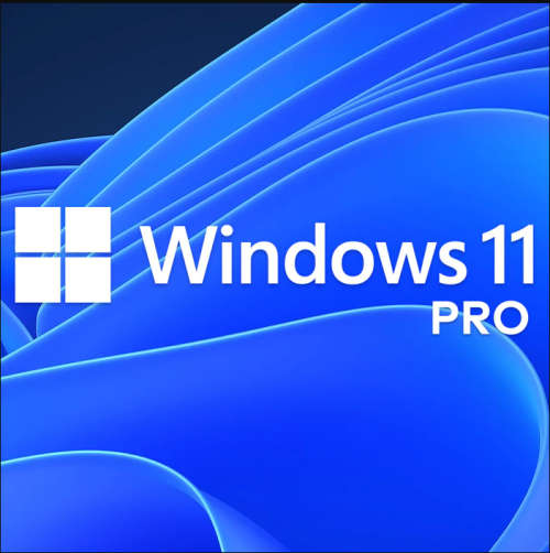 Windows 11 Pro