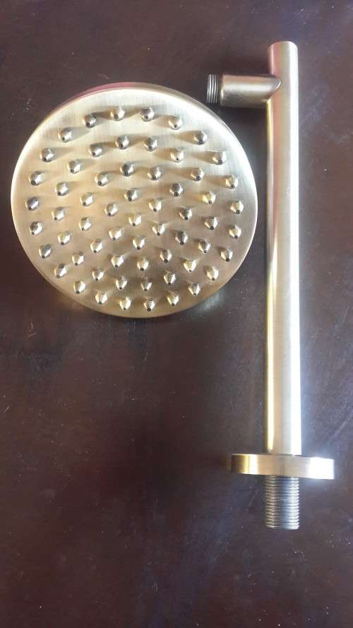 IMPORTED OLIVER BRONZE / GOLD SHOWER ROSE