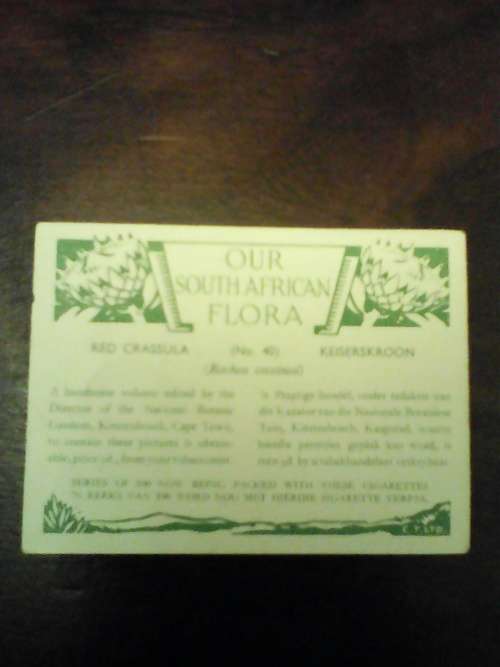 Vintage Our South African Flora Cigarette Cards (Complete Set 100/100)