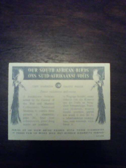 (107/150) Vintage Our South African Birds Cigarette Cards
