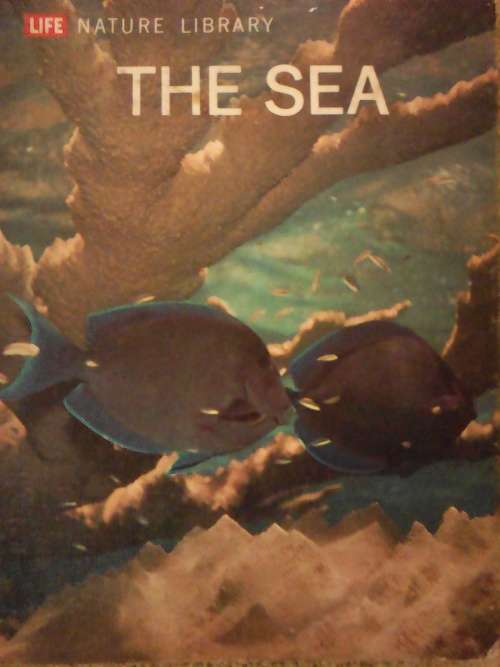 The Sea (Large Hardcover) Life Nature Library