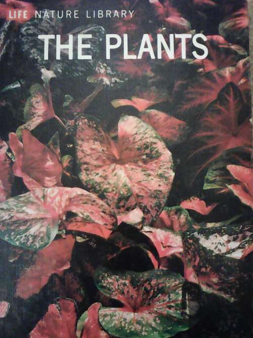 The Plants (Large Hardcover) Life Nature Library