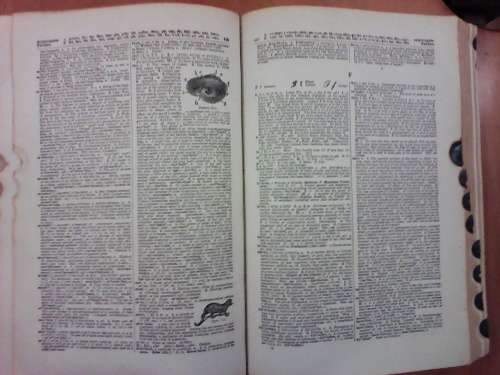 Rare Circa 1943 Funk @ Wagnalls Practical Standard Dictionary (Large Hardcover)