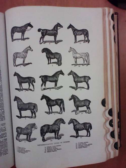 Rare Circa 1943 Funk @ Wagnalls Practical Standard Dictionary (Large Hardcover)