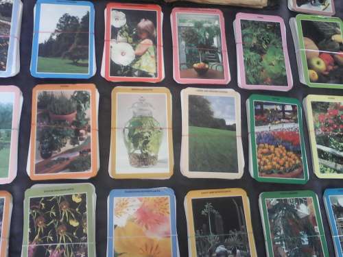 South African Garden @ Home 1967 - 1970 Folder + 821 Gardening Cards Circa 1978 - See Description