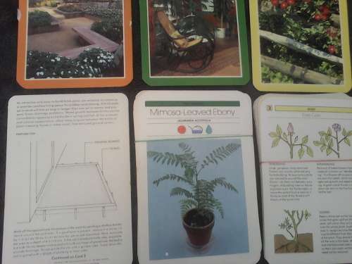 South African Garden @ Home 1967 - 1970 Folder + 821 Gardening Cards Circa 1978 - See Description