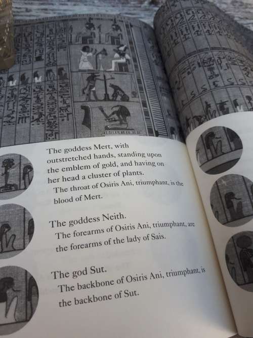 The Egyptian Book Of The Dead (Leather Bound Gold Leafed Hardcover)