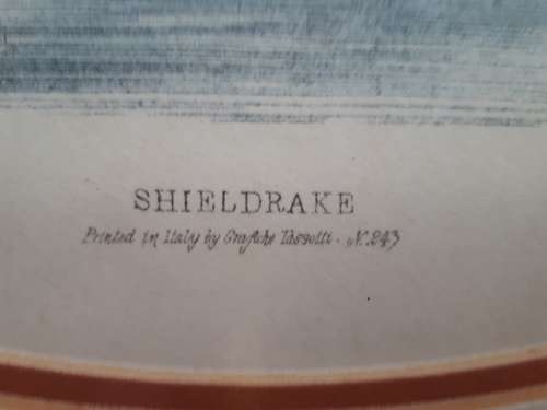 Shieldrake Limited Numbered Print 243 Glass Framed