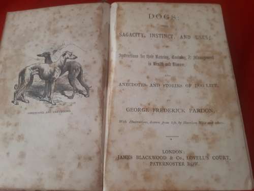Rare First Edition Circa 1877 Dogs : Sagacity, Instinct, And Uses - George Frederick Pardon