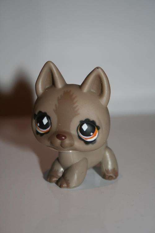 Littlest Pet Shop Brown dog - could be huskey