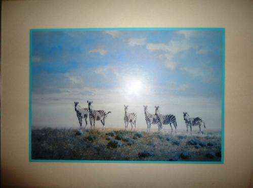 Beautiful print of Zebras by well known wildlife artist Kim Donaldson