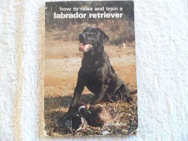 How to Raise and Train a Labrador Retriever - Stan Henschel