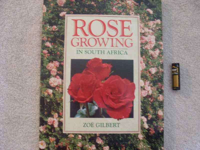 Rose Growing in South Africa - Zoe Gilbert