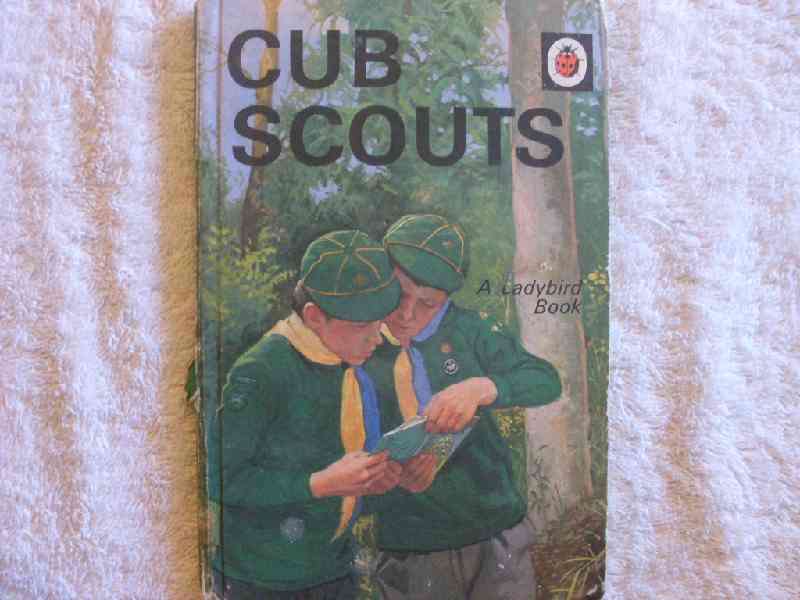 Cub Scouts - Ladybird Book