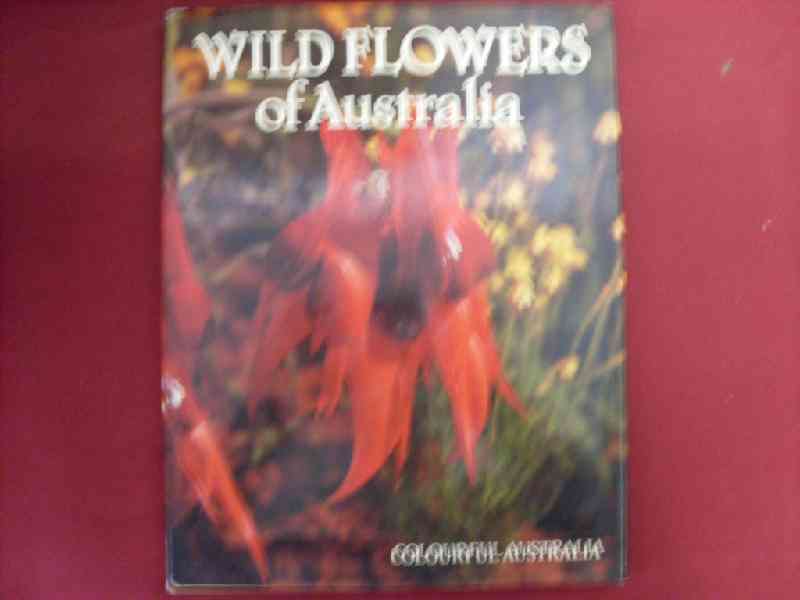 Wild Flowers of Australia - Colourful Australia