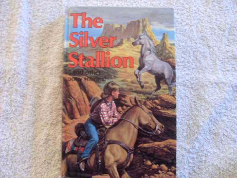The Silver Stallion - Rosemary Simmonds