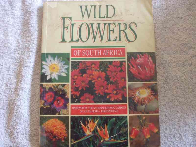 Wild Flowers of South Africa