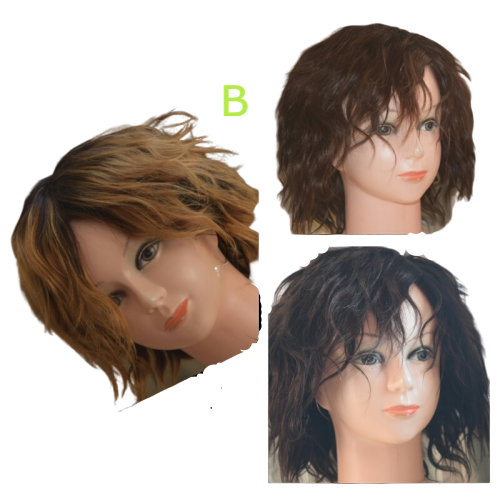 Remy human hair wigs-Various styles