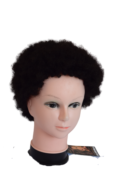 Remy Afro Wig