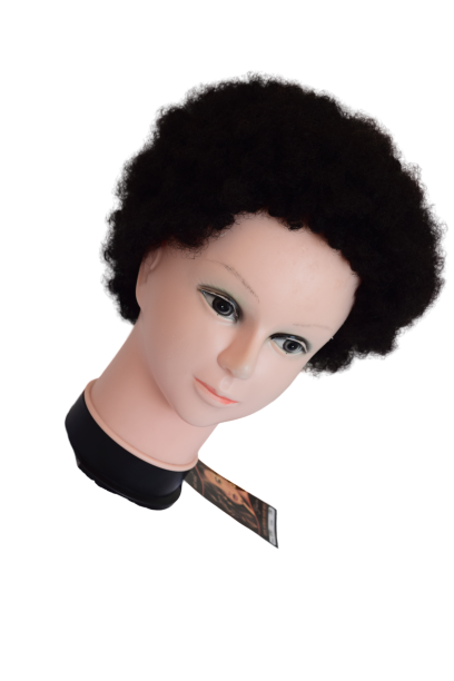 Remy Afro Wig