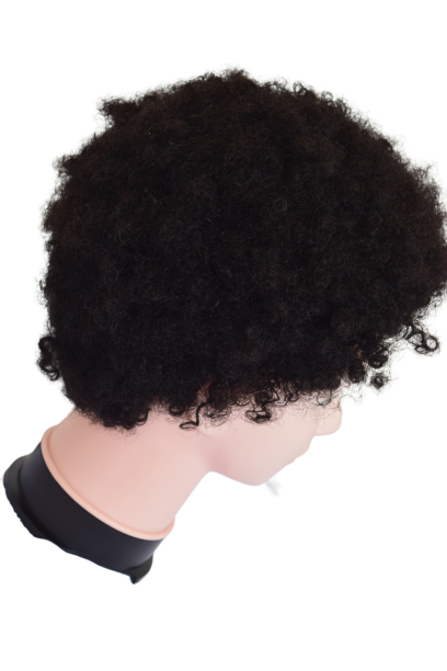 Remy Afro Wig