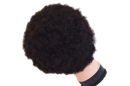 Remy Afro Wig