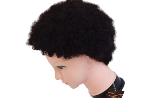 Remy Afro Wig