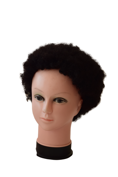 Remy Afro Wig