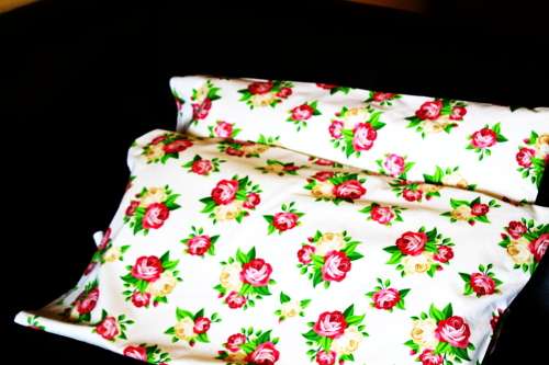 100% Jani Cotton Percale Bed Sheet - 6pc