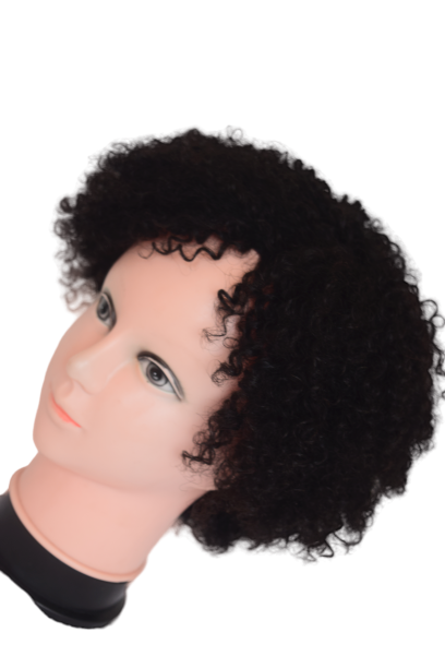Remy Afro Wig