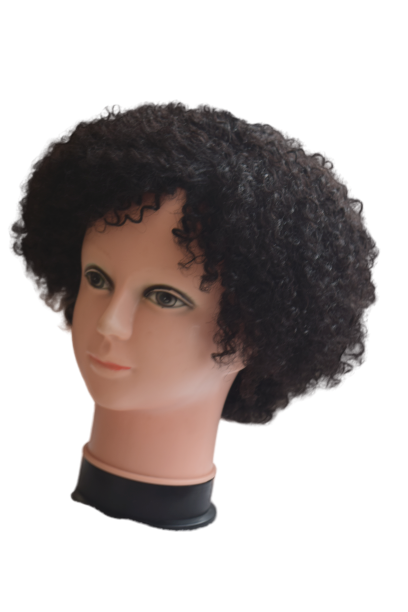 Remy Afro Wig