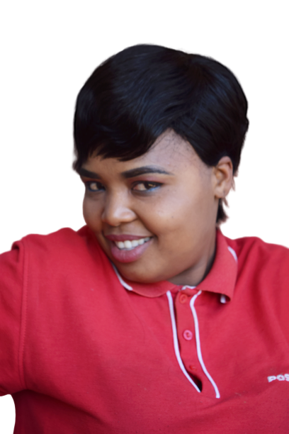 Remmy human hair wigs-Various styles-10A