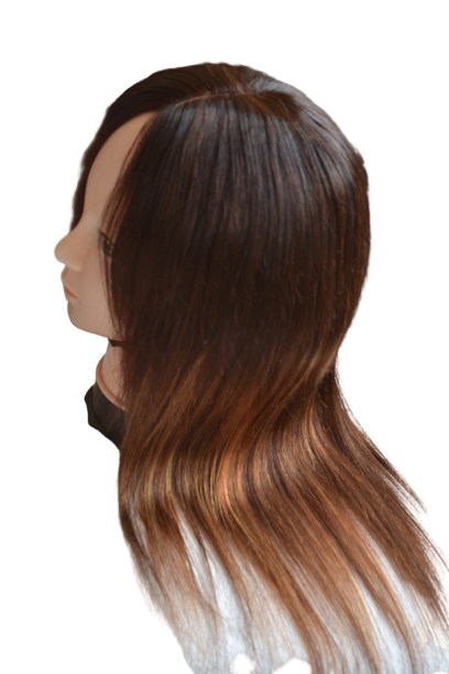 Brazilian & Peruvian 2part  lace frontal wig/9A/12inches-Ombre