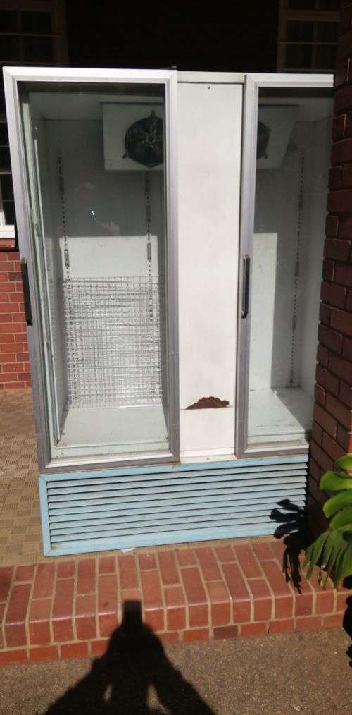 Double Door Display Fridge