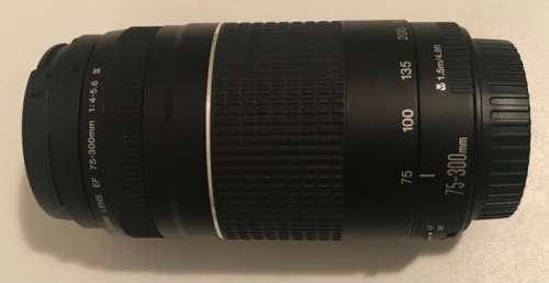 Canon Lens 75-300mm F4-5.6 III IN Good workINg Condition