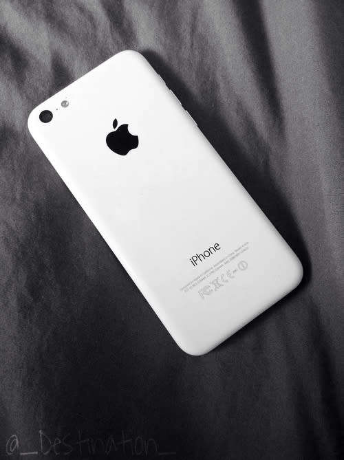 Apple iphone 5c