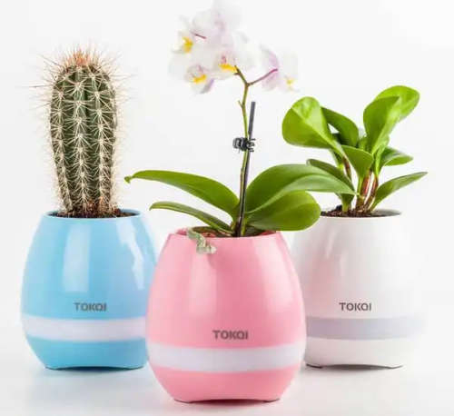 MUSICAL FLOWER POT/ BLUETOOTH SPEAKER