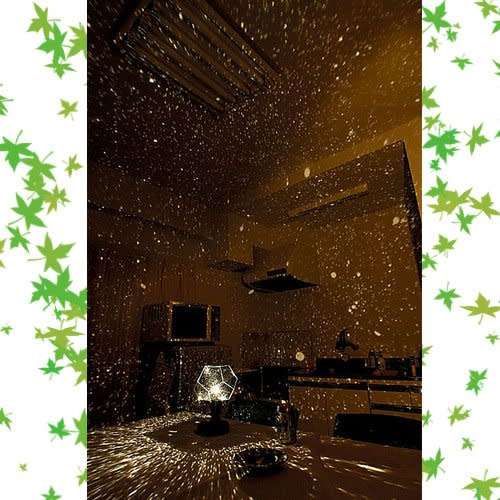 THE FOUR SEASON SKY AND PROJECTOR LAMP