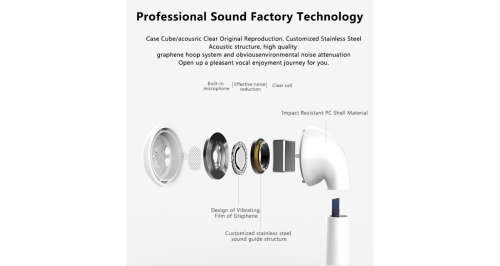 **Earpods True Wireless Stereo Earphones** ICASA Approved